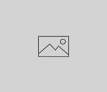 <!-- LE DOMAINE -->